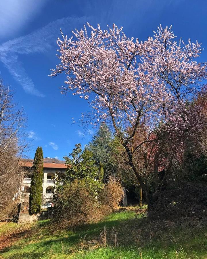 Antica Dimora Del Portico Bed & Breakfast Borgiallo ภายนอก รูปภาพ